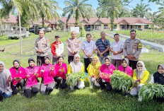 Keren! Polsek Ponsu Panen Sayur Di Pekarangan Pangan Lestari