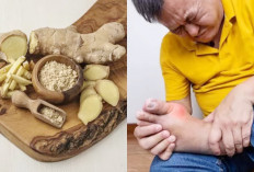Terapi Modern dan Tradisional Mana yang Paling Efektif untuk Asam Urat