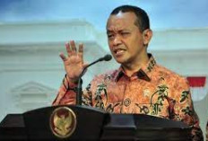 Ketika Prabowo Terkejut dengan Pilihan Jokowi: Bahlil Urus Investasi, Bukan Lulusan Harvard