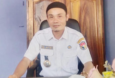 Serangan Hama Tikus di Desa Pauh Terenja Meningkat