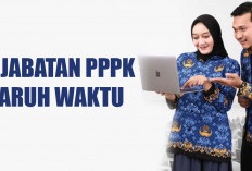 Ini 7 Jabatan untuk PPPK Paruh Waktu Menurut Diktum MenPAN RB