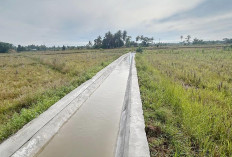 Melalui Inpres 2026, DI Manjuto Kembali Dapat Jatah Pembangunan dan Rehab Irigasi Tersier