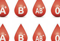 Simak! Dengan Mengatahui Golongan Darah Anda Bisa Mengetahui Resiko Kesehatan Masing Masing