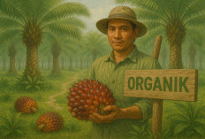 Sawit Organik: Mungkinkah Industri Sawit Masuk ke Pasar Premium Dunia?