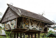 Seni Lukis Tradisional Suku Dayak:  Cerminan Budaya dan Kosmos