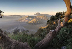 Gunung Bromo, Spot Foto Prewedding Impian Terbaik di Indoneisa