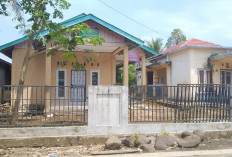 Jelang Akhir Tahun, Pemdes Talang Petai Bangun Pagar MDTA