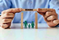 Panduan Lengkap Memahami Polis Asuransi