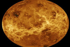 Selain Panas, Ini Keunikan Lain Planet Venus