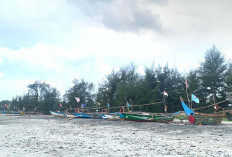Berstatus Cagar Alam, Obyek Wisata Pantai Air Rami Sulit Kembangkan 