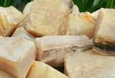 Ikan Asin Jambal Roti: Kelezatan Tradisional dari Nusantara