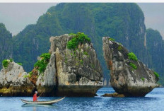 Teluk Ha Long: Keajaiban Alam Vietnam yang Memukau