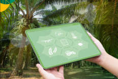 Blockchain di Perkebunan Sawit: Transparansi dan Jejak Produk dari Pohon ke Piring