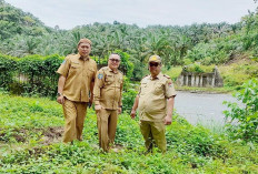 Kata Sapuan Soal Pembangunan Jembatan Lubuk Selandak 