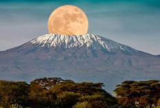 Menaklukkan Puncak Afrika, Petualangan Menuju Puncak Gunung Kilimanjaro