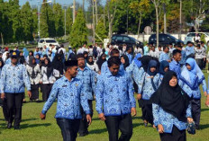 451 Pelamar CPNS Asal Mukomuko TMS, 5 Formasi Kosong Pelamar