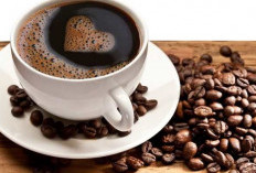 Asia Pusat Produksi Kopi, Ini 5 Negara Asia Dengan Budaya Kopi yang Berkembang Pesat