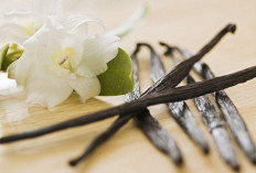 Peluang Bisnis Vanila: Ide Kreatif untuk Meraup Untung dari Industri Vanila