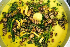 Mengungkap Rahasia Gulai Siput Sedut, Sajian Kuliner Khas yang Menggoda Selera