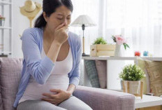 Mual dan Muntah saat Hamil, Lebih dari Sekedar Morning Sickness