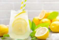 Rahasia Es Lemon Segar: Tips Praktis dan Manfaat Hebat untuk Tubuh Sehat dan Ideal