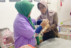 Besok Vaksinasi Gratis dan Cat Show di Kantor Dinas Pertanian 