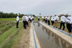 Jelang Air Masuk, P3A DI Manjuto Kiri Minta Membersihkan Saluran Tersier