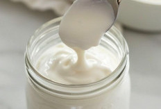Rahasia Sehat Alami dari Yogurt: Manfaat Tersembunyi untuk Tulang Kuat, Berat Badan Ideal, dan Kulit Sehat!
