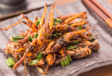 Makanan Masa Depan Apakah Kita Akan Mengonsumsi Serangga dan Daging Buatan