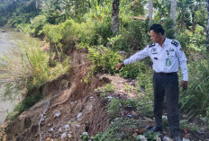 Longsor Sungai Manjuto di Tanjung Alai, Hilangkan Kawasan Pemukiman Dusun Lama