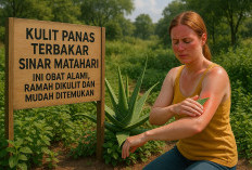Kulit Panas Terbakar  Sinar Matahari,  Ini  Obat Alami,  Ramah Dikulit Dan Mudah Ditemukan