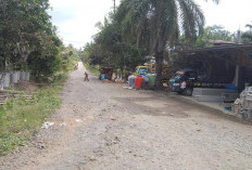 Jalan Rusak di Tanjung Mulya Belum Mendapat Perhatian dari Pemerintah