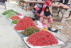 Harga Cabai Turun 20.000/kg, Senyum Ibu-Ibu Mengembang, Petani Menahan Resah