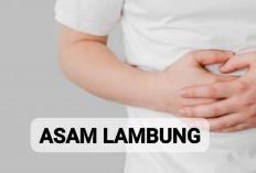 Atasai Asam Lambung Dengan 6 Tanaman Herbal Ini, Ada Juga di Pinggir Jalan