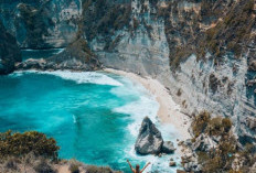 Pesona Keindahan Tebing Karang Kelingking Beach di Nusa Penida, Berikan Pengalaman Tak Terlupakan