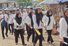 Tidak Lolos Seleksi PPPK Tahap 1, Masih Ada Kesempatan Kedua