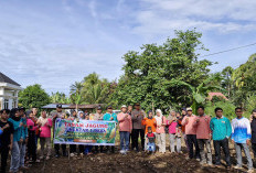 Penanaman Jagung Satu Desa Satu Hektare di Resno