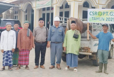 Peduli Masyarakat Sekitar, PT.GSS Berikan CSR 11 Ekor Hewan Kurban 