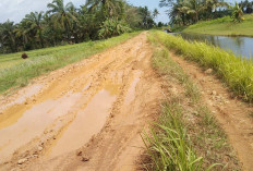 Akses Jalan Pertanian di Arah Tiga Mengkhawatirkan