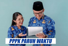 Sistem Kerja dan Gaji Tenaga ASN PPPK Paruh Waktu Ditetapkan Segini