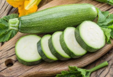 Zucchini: Sayuran Hijau Penuh Manfaat untuk Kesehatan dan Kreativitas Kuliner