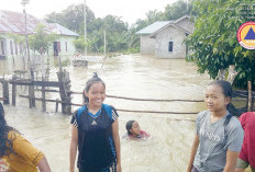 Banjir Rendam Puluhan Rumah di Pondok Batu