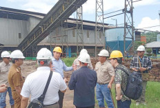 Investor Jepang Lirik Potensi Biomass Energy Mukomuko