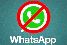 Curiga WhatsApp Diblokir? Ini Cara Mengetahui dan Ciri-Cirinya!