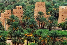 Najran: Permata Sejarah dan Budaya di Selatan Arab Saudi