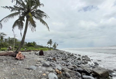 Imbauan BPBD Mukomuko Bagi yang Merayakan Pergantian Tahun 