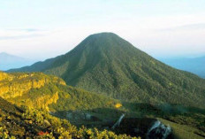 Menjelajahi Jejak Sejarah dan Kearifan Lokal di Gunung Gede Pangrango Puncak Jawa Barat