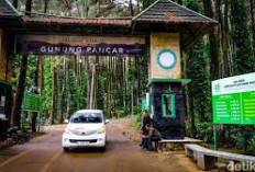 Ditutup Karena Banyak Pungli, Objek Wisata Gunung Pancar Bogor Tinggalkan Pesan Haru di Spanduk Hijau