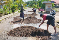 Warga Lubuk Sanai Dua Swadaya Timbun Jalan Poros Berlubang