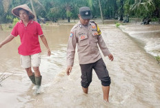 Jalan Wonosalam Mulai Terendam, Kades Khawatir Hujan Susulan 
